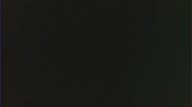 Geisha Seniers online show from 02/15/25, 02:22