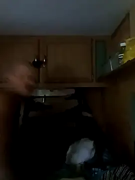 Snapshot of tjmacksjr chatting on 10/04/25, 07:01 tjmacksjr online show from 10/04/25, 07:01