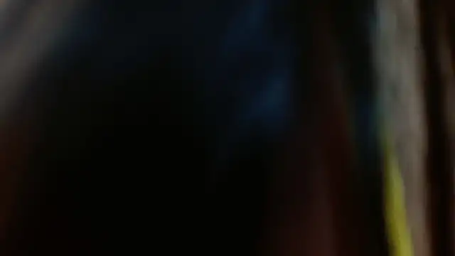 Snapshot of Melikasweetz chatting on 12/17/24, 08:32 Melikasweetz online show from 12/17/24, 08:32