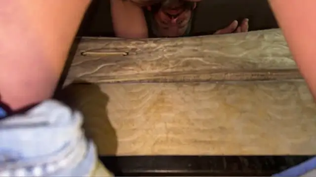 pipeload1275 online show from 01/19/26, 06:50