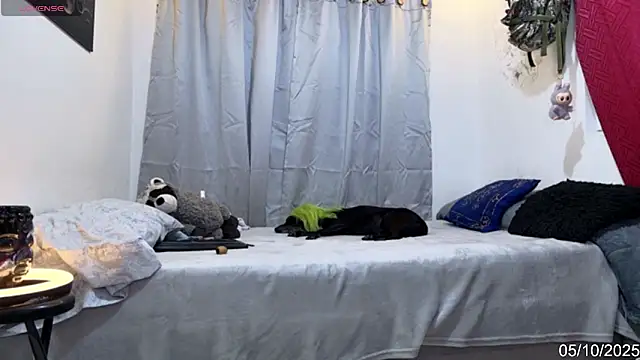 Snapshot of alejo_cute chatting on 10/06/25, 08:28 alejo cute online show from 10/06/25, 08:28