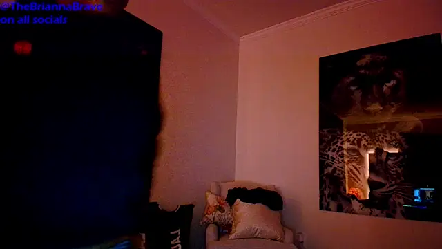 BriannaBrave online show from 03/24/26, 04:50