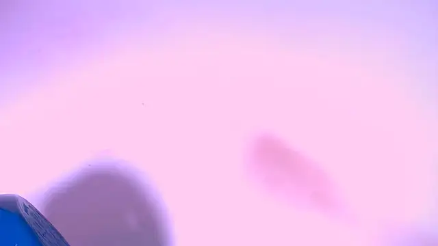 Snapshot of shara_bigcum chatting on 05/11/26, 08:17 shara bigcum online show from 05/11/26, 08:17