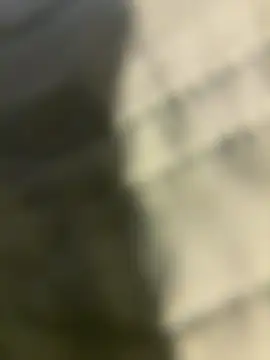 Snapshot of Ariel_Ari chatting on 12/31/24, 08:12 Ariel Ari online show from 12/31/24, 08:12