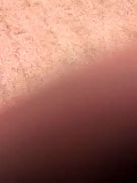 Snapshot of klownman1 chatting on 03/01/25, 06:00 klownman1 online show from 03/01/25, 06:00