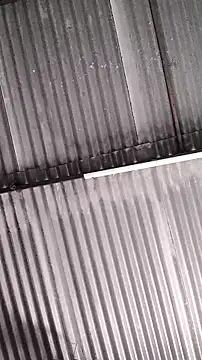 mendelicius online show from 02/11/26, 01:27