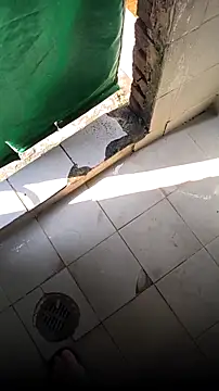 mendelicius online show from 02/15/26, 02:25