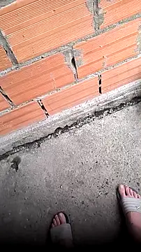 mendelicius online show from 04/11/26, 11:14