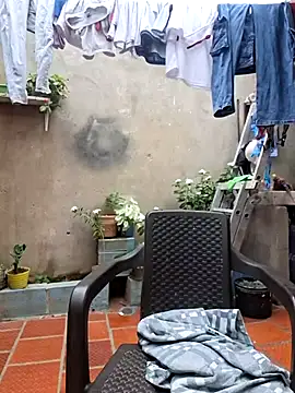 room 24funn online show from 01/31/26, 08:07