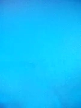 skrigul12 online show from 02/14/26, 03:31