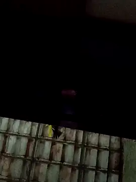 dantaradinho online show from 01/31/25, 04:47