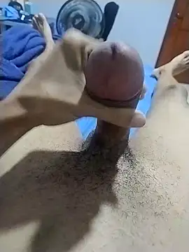 novinho23 RJ online show from 09/24/25, 02:26