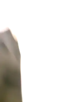 Snapshot of littlehornysons chatting on 10/06/25, 02:09 littlehornysons online show from 10/06/25, 02:09