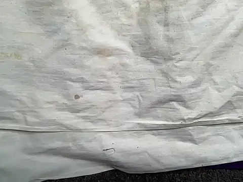 Snapshot of beforeyou69 chatting on 01/30/25, 01:42 beforeyou69 online show from 01/30/25, 01:42