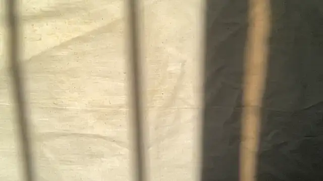 Snapshot of beforeyou69 chatting on 11/06/25, 08:04 beforeyou69 online show from 11/06/25, 08:04