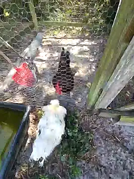 Snapshot of Mistress_Melissa chatting on 02/04/25, 06:06 Mistress Melissa online show from 02/04/25, 06:06