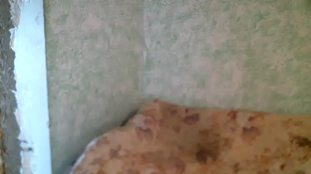 DennisXCaroll online show from 04/23/26, 10:14