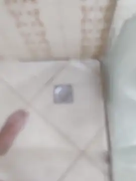 Snapshot of carvalhesco chatting on 12/16/25, 03:33 carvalhesco online show from 12/16/25, 03:33