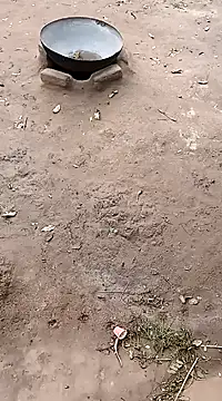 Snapshot of hairipussy2 chatting on 02/20/25, 10:59 hairipussy2 online show from 02/20/25, 10:59