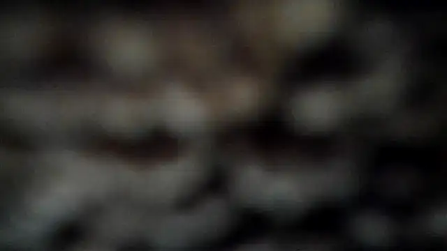 leatherz69 online show from 03/07/25, 04:02