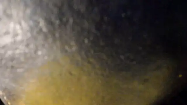 leatherz69 online show from 05/29/26, 03:59