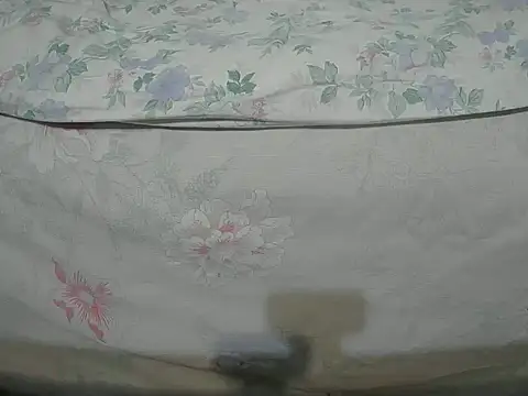 Tiger202441 online show from 12/16/24, 10:24