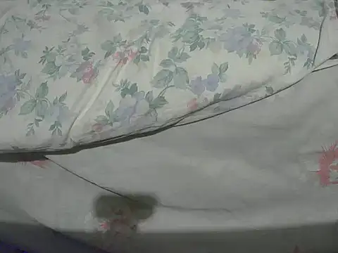 Tiger202441 online show from 12/20/24, 10:32