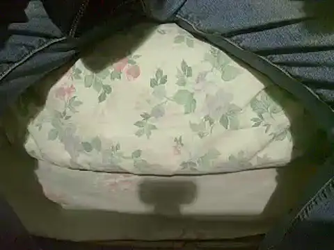 Tiger202441 online show from 01/12/25, 04:08