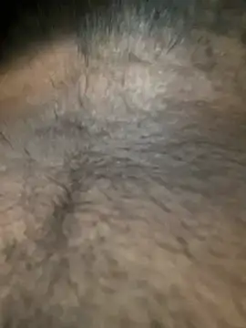 slblackboy12 online show from 03/29/26, 08:14