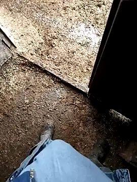 murokkk31 online show from 01/09/26, 07:22