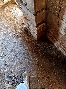 murokkk31 online show from 01/14/26, 07:14