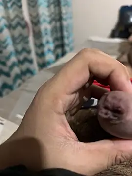 Snapshot of thecockybouy chatting on 03/01/25, 04:37 thecockybouy online show from 03/01/25, 04:37