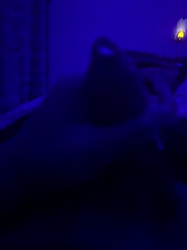 Snapshot of thecockybouy chatting on 03/02/25, 01:36 thecockybouy online show from 03/02/25, 01:36