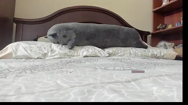 linnie  online show from 02/02/26, 02:32