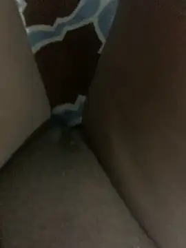 WyvaxxNikkie online show from 01/23/25, 05:31