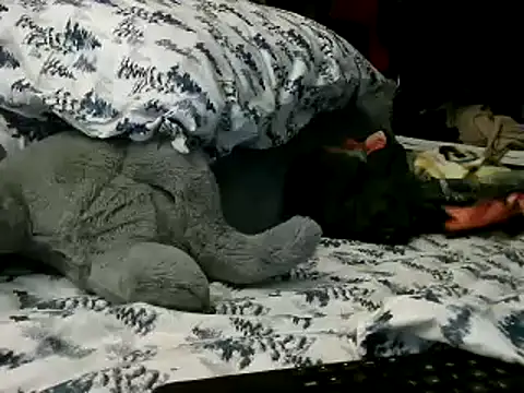 Snapshot of WHITEDAROSE chatting on 01/15/25, 02:13 WHITEDAROSE online show from 01/15/25, 02:13