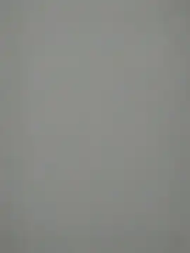 Snapshot of TheSouthernKing chatting on 12/27/24, 12:12 TheSouthernKing online show from 12/27/24, 12:12