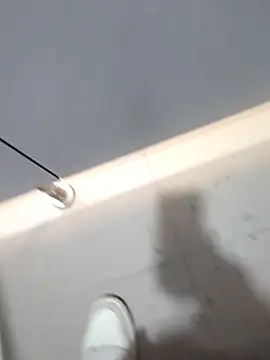 publicsir online show from 11/19/25, 03:45