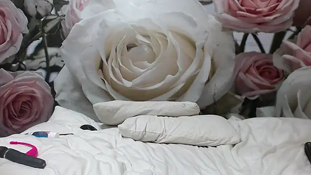 Sexysilverfoxxx online show from 12/03/24, 04:03