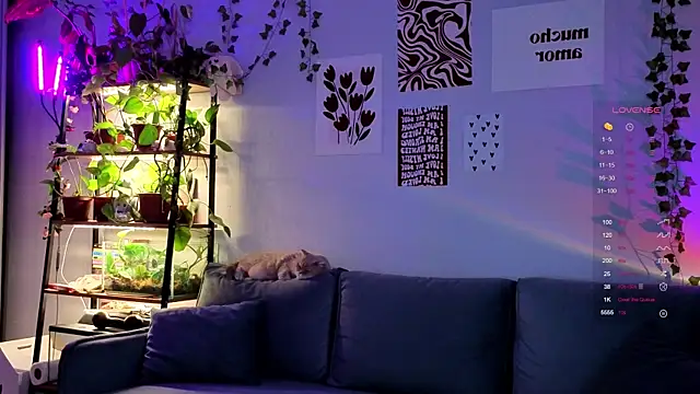 Your Corvus online show from 12/05/25, 09:51