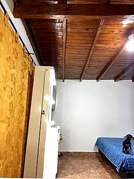 Snapshot of Zaratattoox chatting on 12/01/25, 09:53 Zaratattoox online show from 12/01/25, 09:53