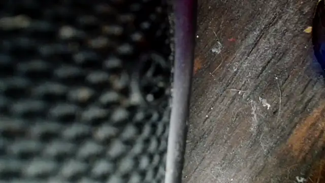 Snapshot of Gigadickman chatting on 12/02/24, 08:33 Gigadickman online show from 12/02/24, 08:33