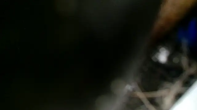 Snapshot of Gigadickman chatting on 12/02/24, 11:40 Gigadickman online show from 12/02/24, 11:40