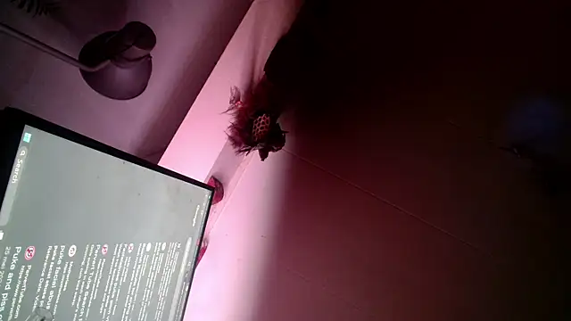 Snapshot of Gigadickman chatting on 12/13/24, 06:00 Gigadickman online show from 12/13/24, 06:00