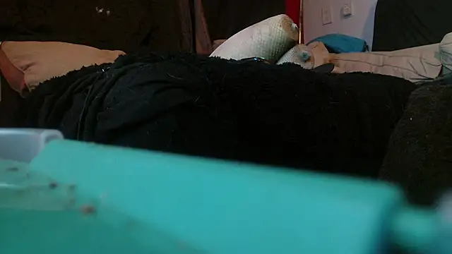 Snapshot of Gigadickman chatting on 01/15/25, 02:17 Gigadickman online show from 01/15/25, 02:17