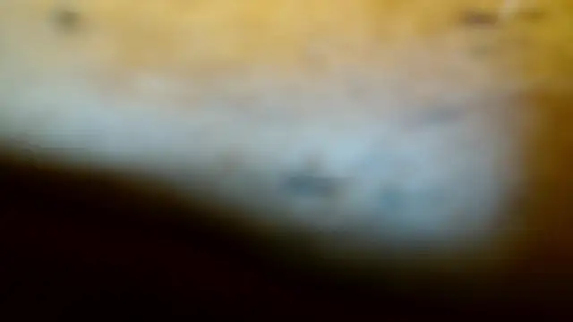 Snapshot of Gigadickman chatting on 02/09/25, 11:57 Gigadickman online show from 02/09/25, 11:57