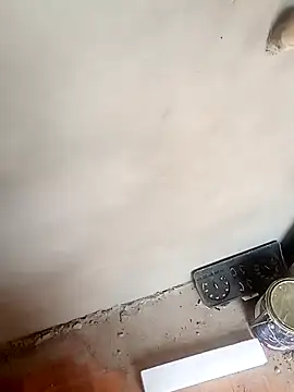 taradobbsafadok online show from 12/05/24, 04:55