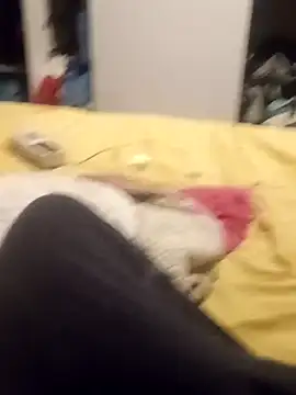 taradobbsafadok online show from 10/25/25, 11:32