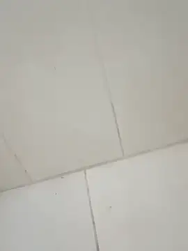 taradobbsafadok online show from 12/01/25, 11:32