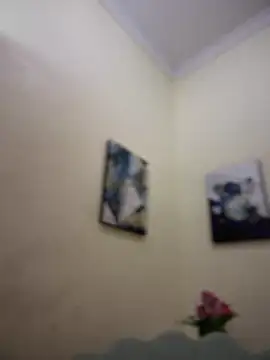 MaverickGray online show from 01/26/25, 04:41